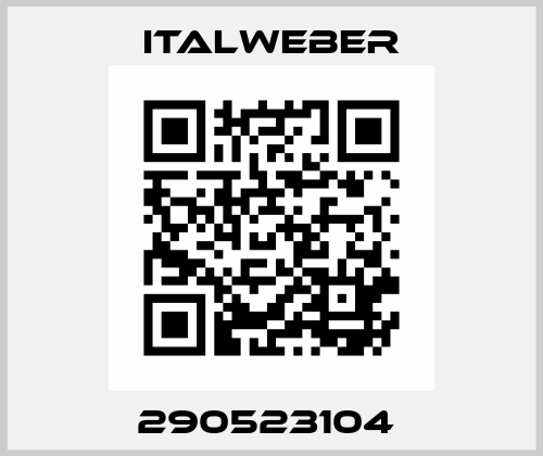 290523104  Italweber