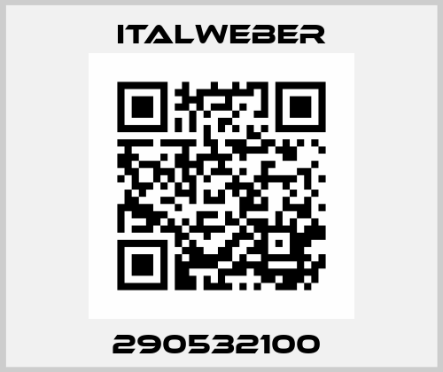 290532100  Italweber