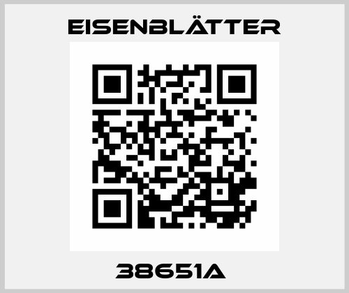 38651a  Eisenblätter