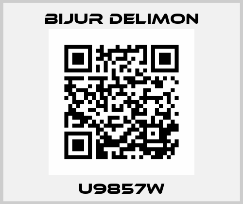 U9857W Bijur Delimon