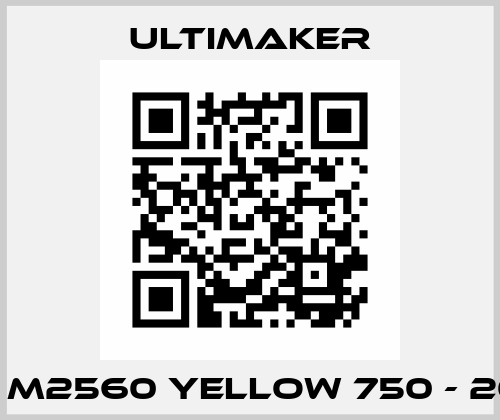 ABS - M2560 Yellow 750 - 206127 Ultimaker