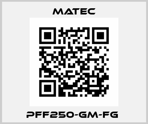 PFF250-GM-FG  Matec