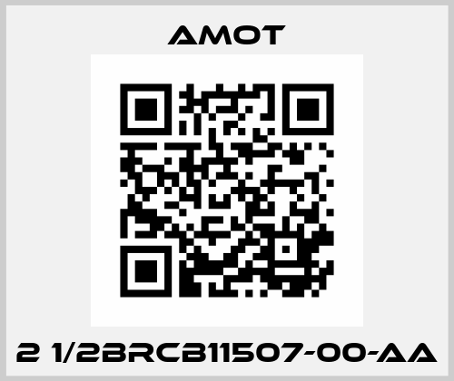 2 1/2BRCB11507-00-AA Amot