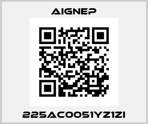 225AC0051YZ1ZI Aignep