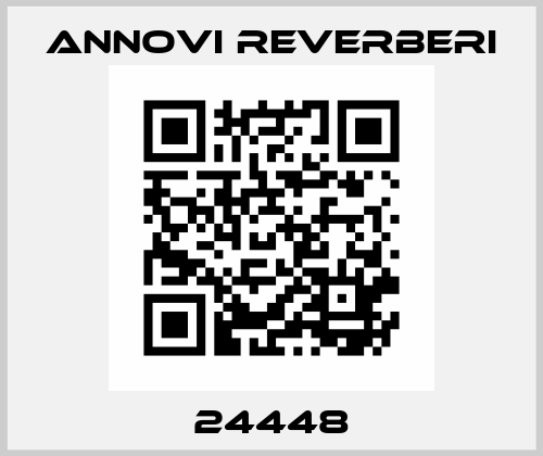 24448 Annovi Reverberi