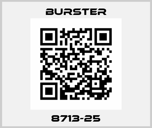 8713-25 Burster