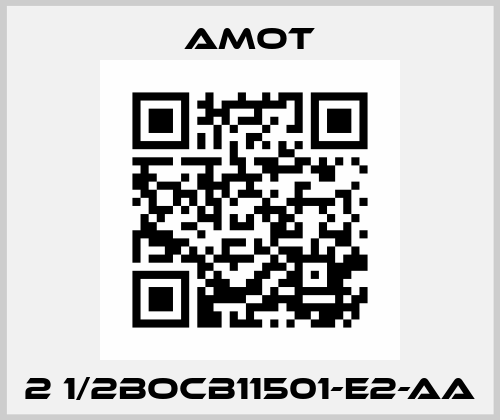 2 1/2BOCB11501-E2-AA Amot