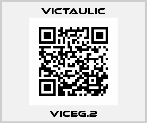 VICEG.2 Victaulic