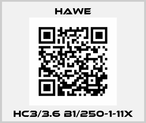 HC3/3.6 B1/250-1-11X Hawe
