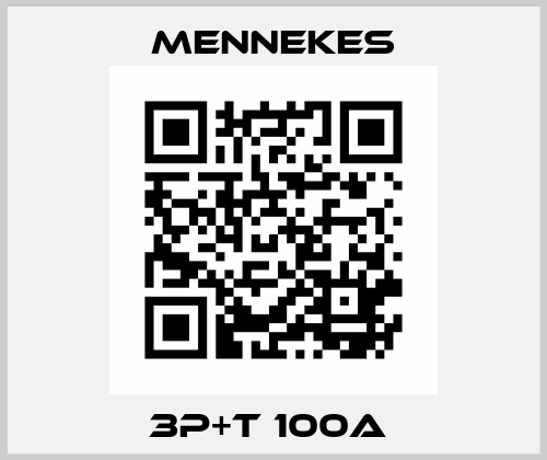 3P+T 100A  Mennekes
