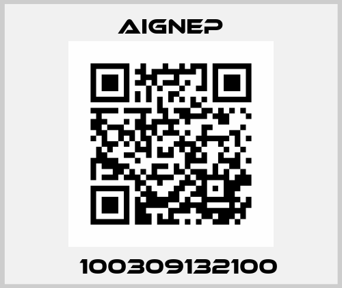 Т100309132100 Aignep
