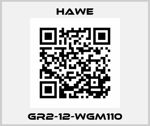 GR2-12-WGM110 Hawe