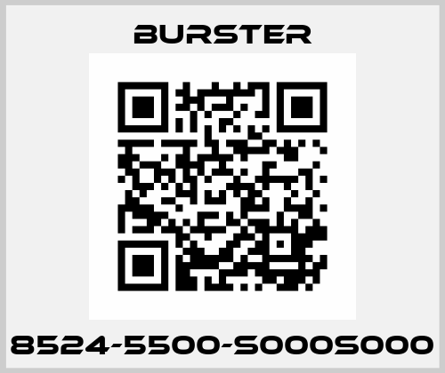 8524-5500-S000S000 Burster