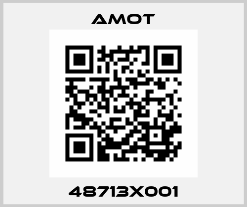 48713X001 Amot