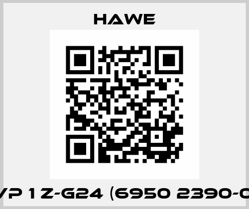 BVP 1 Z-G24 (6950 2390-00) Hawe