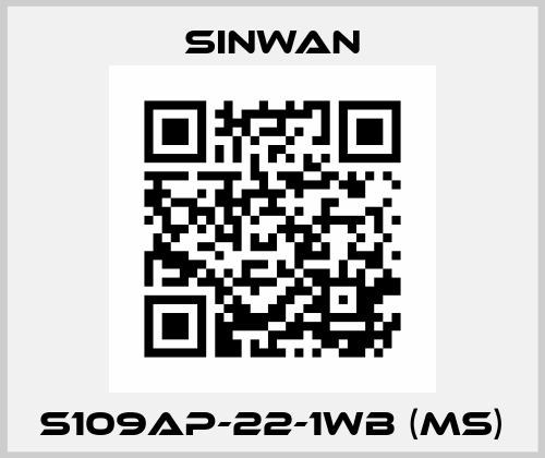 S109AP-22-1WB (MS) Sinwan