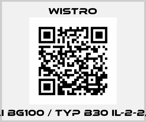 FLAI Bg100 / Typ B30 IL-2-2/100 Wistro