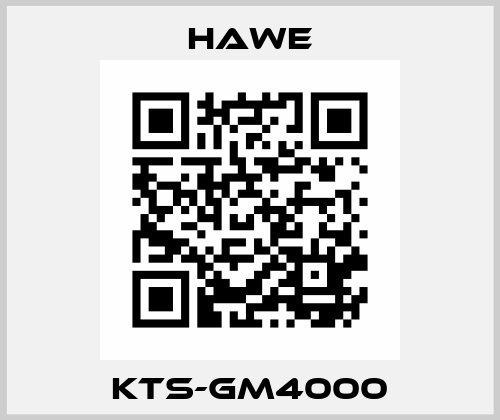 KTS-GM4000 Hawe