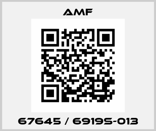 67645 / 6919S-013 Amf