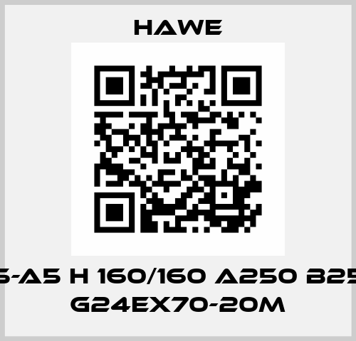 SLF5-A5 H 160/160 A250 B250/EI G24EX70-20M Hawe