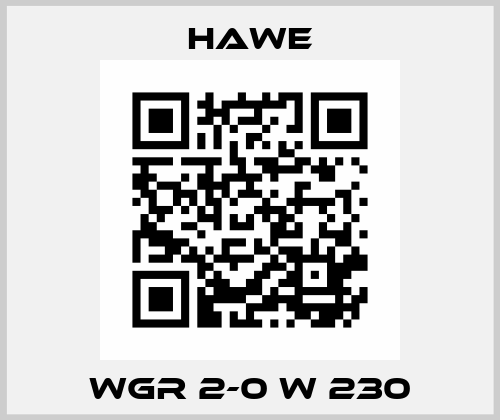 WGR 2-0 W 230 Hawe