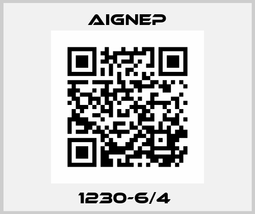 1230-6/4  Aignep