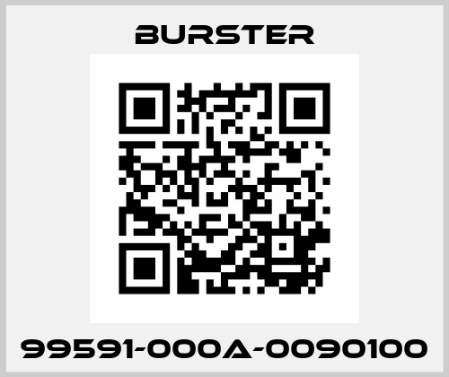 99591-000A-0090100 Burster