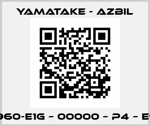 STG960-E1G – 00000 – P4 – E9F2   Yamatake - Azbil