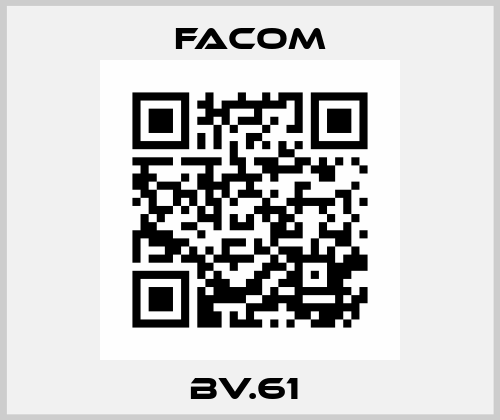 BV.61  Facom