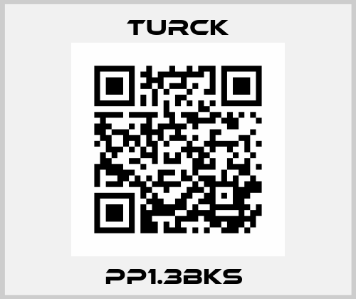 PP1.3BKS  Turck