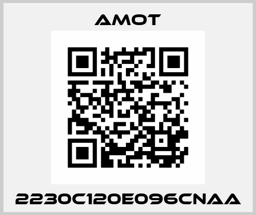 2230C120E096CNAA Amot