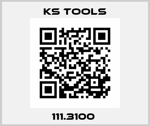 111.3100  KS TOOLS